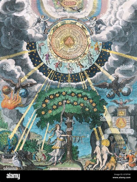 The Tree of Life: A Multidimensional Portal of Magic